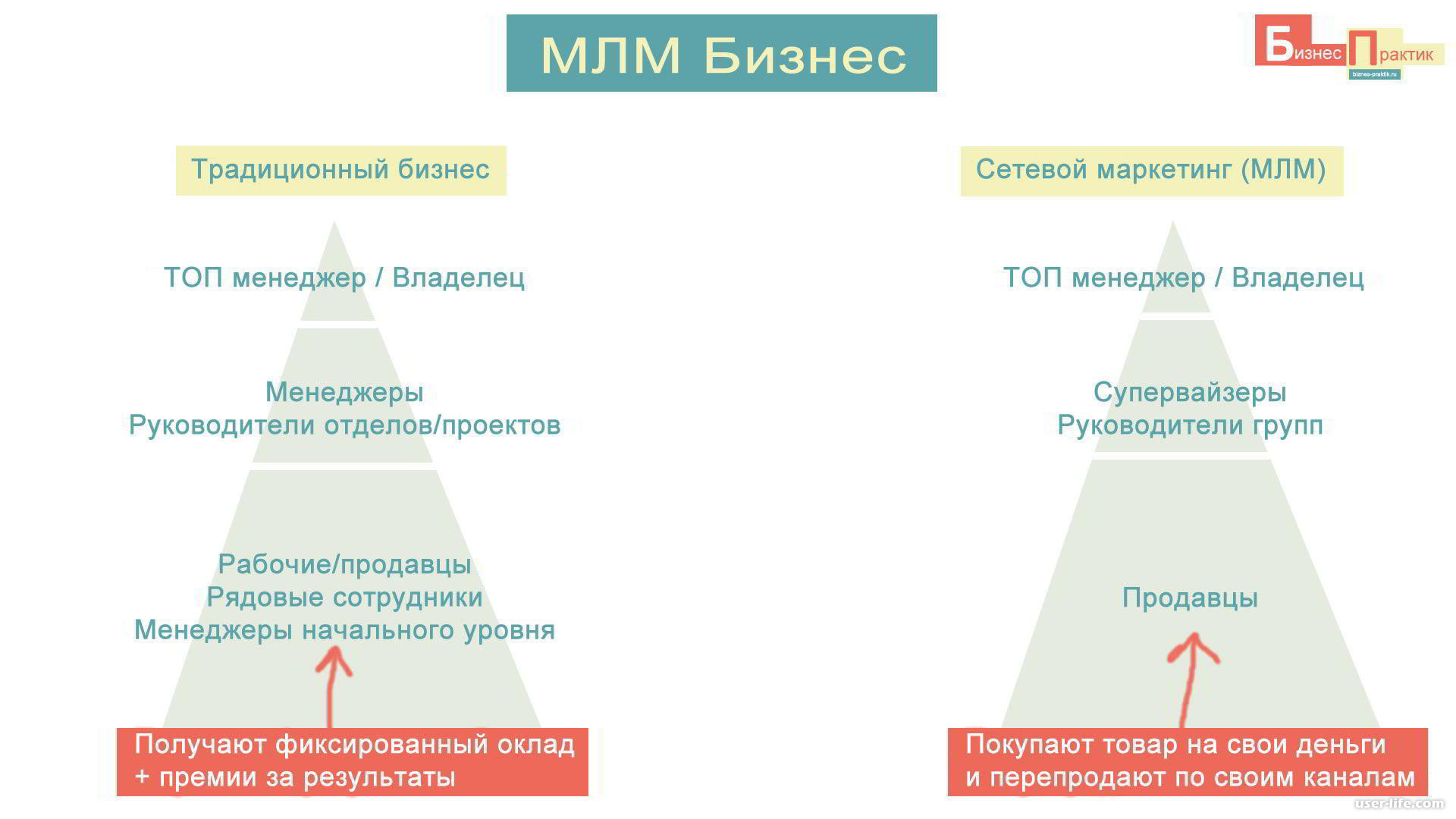 Сетевой маркетинг