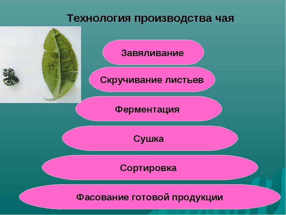 Чайный бизнес с нуля: выгодно или нет