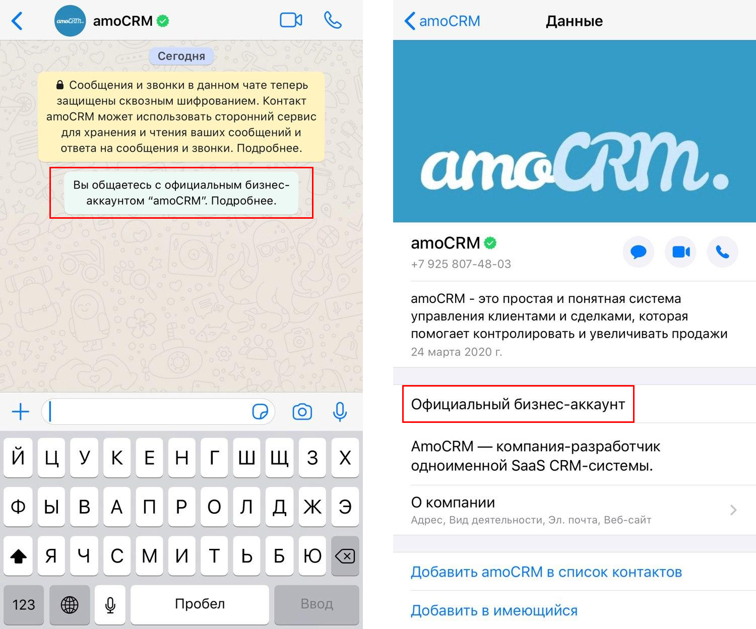 Whatsapp business: что это такое и для чего он, отзывы