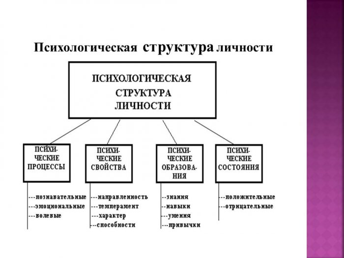 Свойства личности - это... что такое свойства личности?
