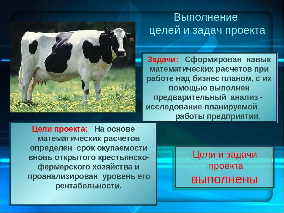 Бизнес план для сельхозпредприятия