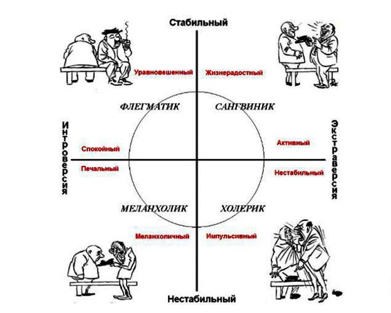 Типы личности картинки
