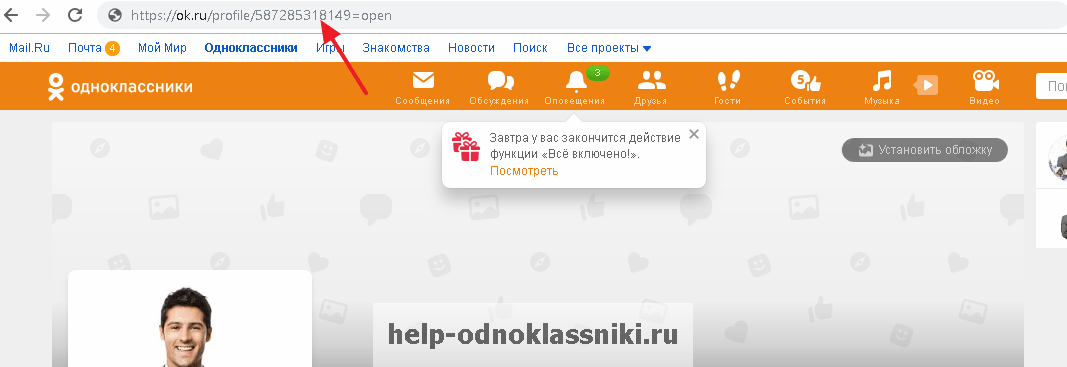 Как посмотреть профиль в одноклассниках без регистрации