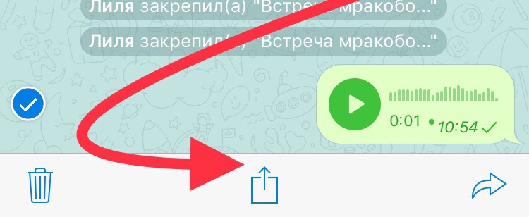 Инструкция, как отправить голосовое сообщение в телеграме?