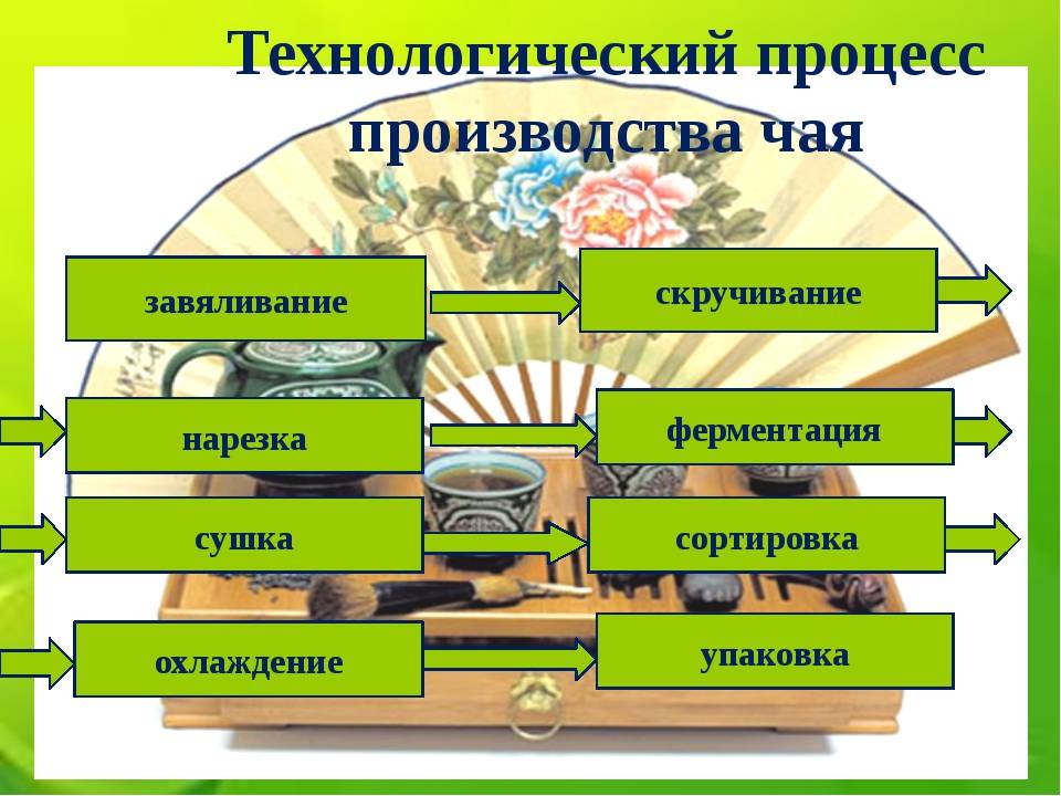 Производство чая: разновидности напитка  технология производства 8 шагов по организации бизнеса  оборудование для производства чая  минимальные вложения для старта