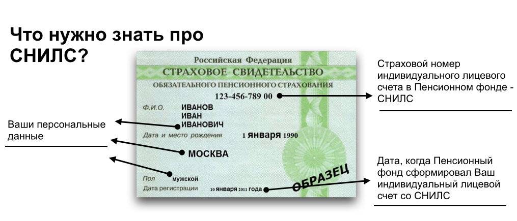 Что такое снилс? как расшифровывается снилс?