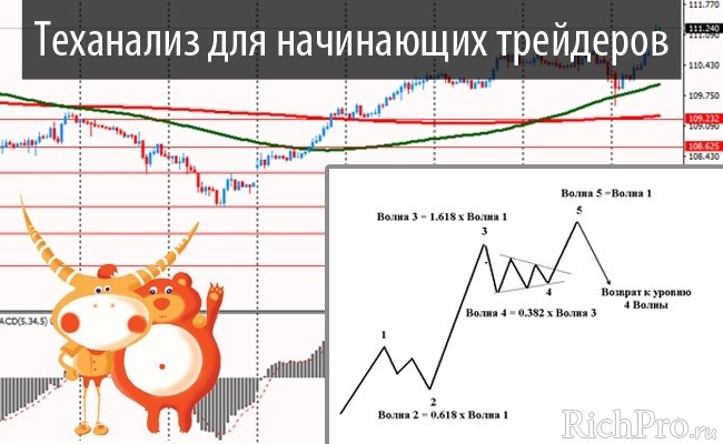 10+ лучших курсов по форексу для начинающих и опытных трейдеров