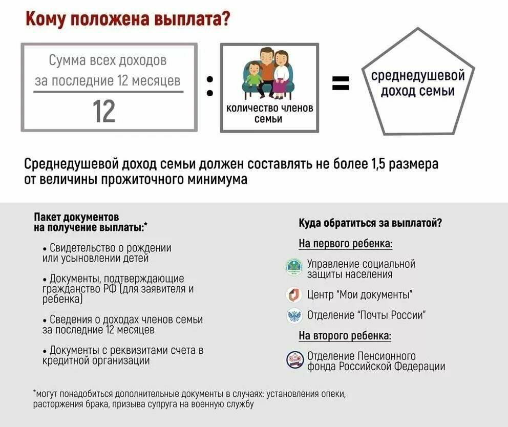 Путинские выплаты: сколько платят, кому положены, как оформить и получить