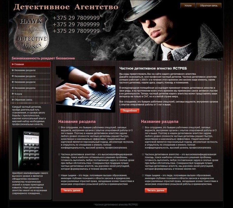 План детектива пример