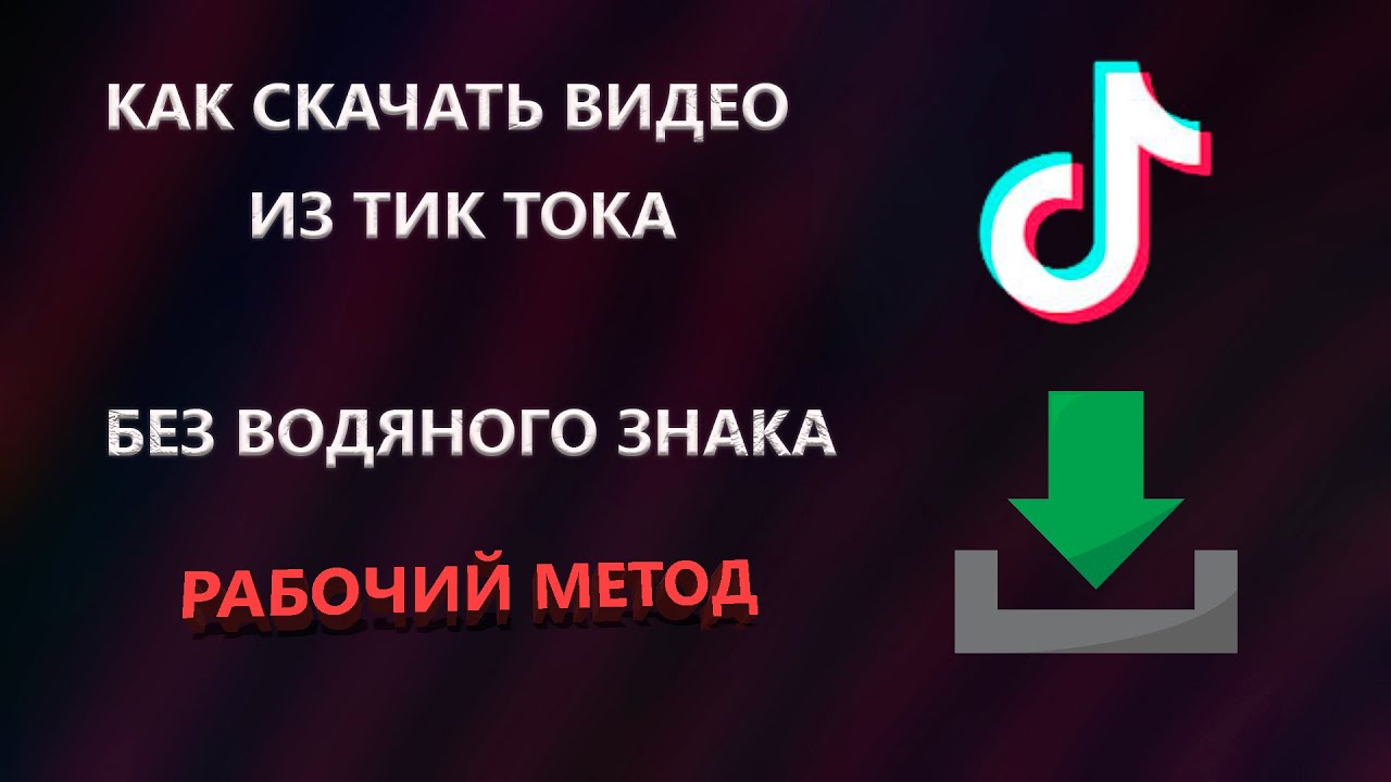 Качалка видео с tik-tok без водяного знака