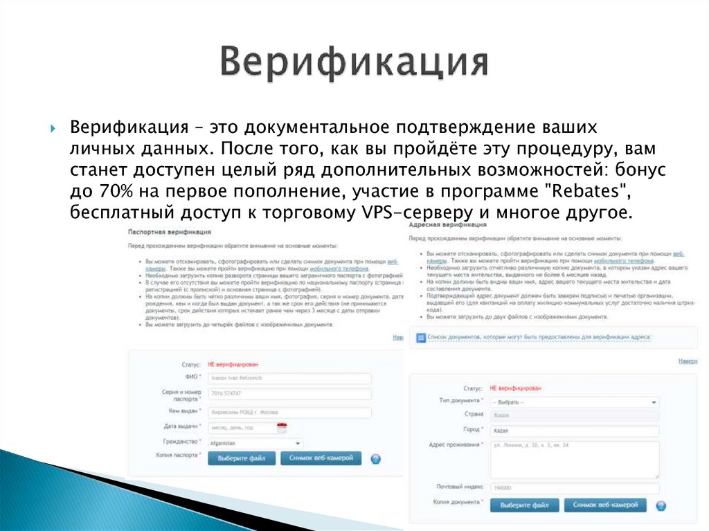 В каком году альфа запустил верификацию сотрудников