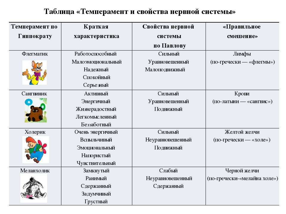 Типы темперамента: сангвиник, холерик, меланхолик, флегматик