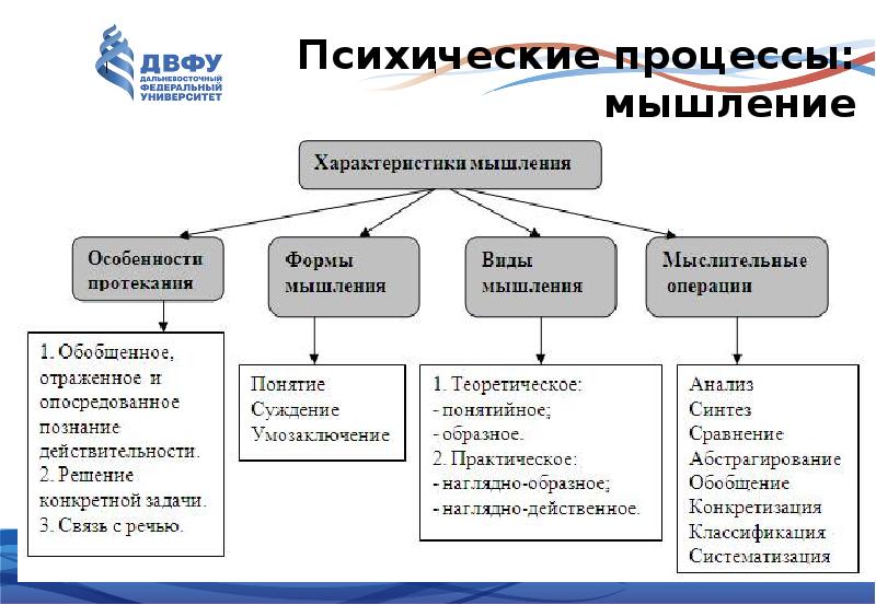 Виды мышления человека: самая полная классификация с описанием + примеры