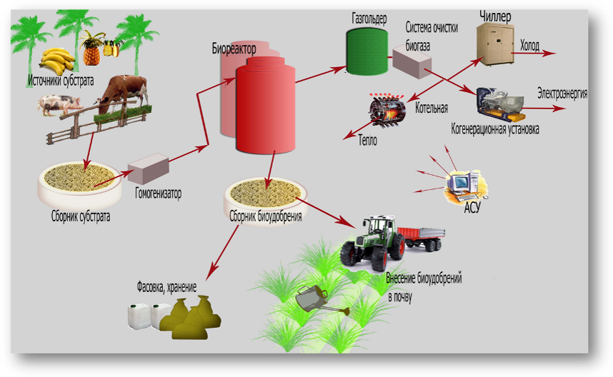 Переработка отходов сельского хозяйства. Переработка навоза в биогаз схема. Компостирование отходов технологическая схема. Схема переработки навоза в удобрение. Сырье для производства биогаза.