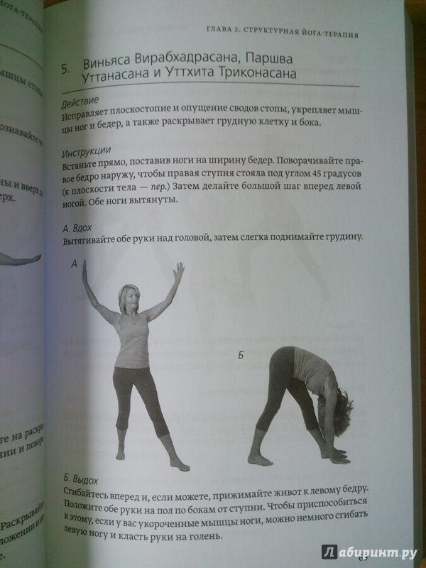 Основы йоги