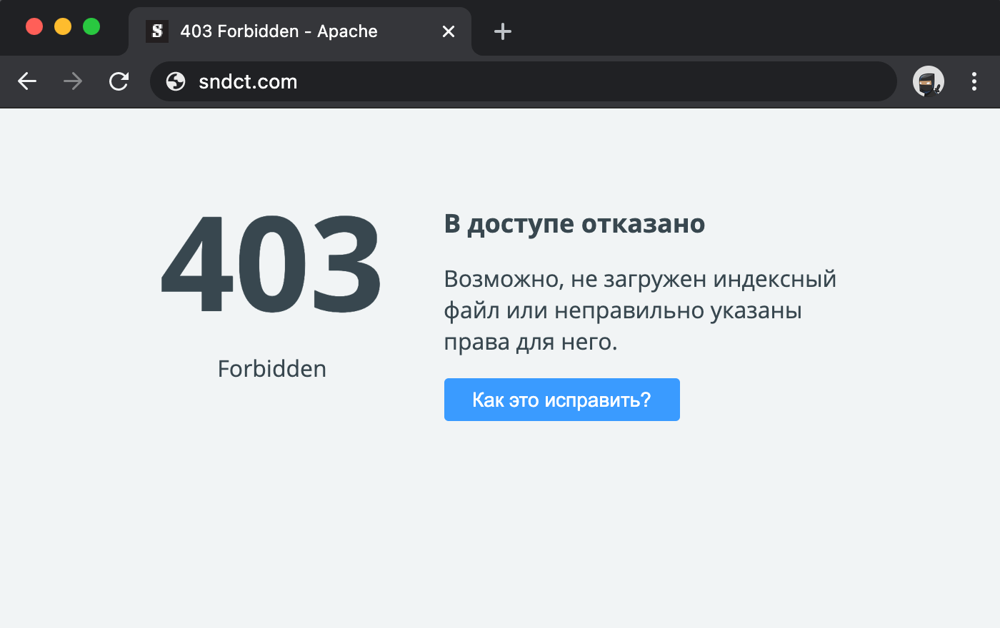 Ошибка 403, не войти в профиль, проблемы при регистрации, белый экран, server error, правки не сохранены и другие проблемы в Instagram