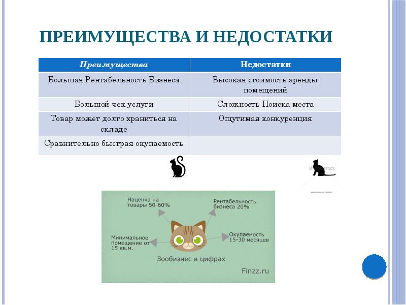Открываем зоомагазин как бизнес: готовый бизнес-план с расчетами