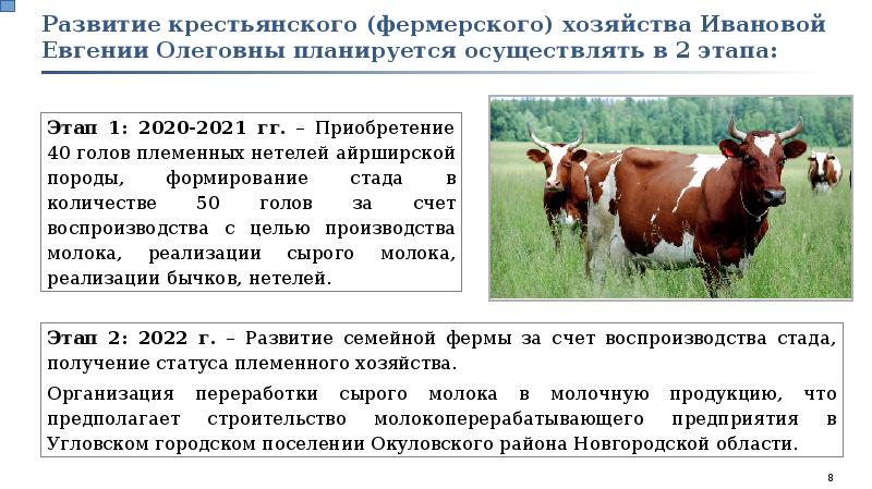 Составить бизнес план фермерского хозяйства