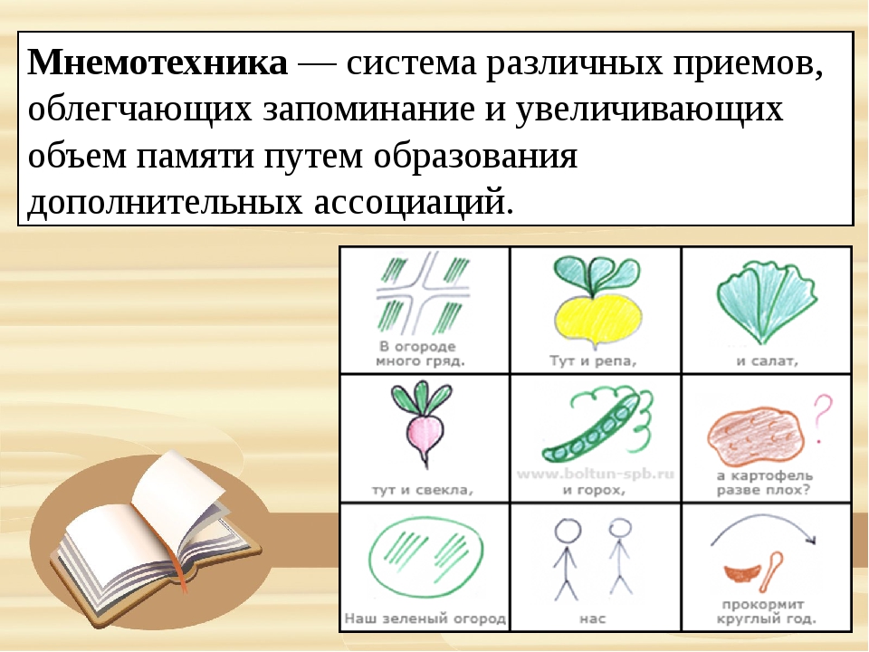 Мнемотехника: как научиться все запоминать - все курсы онлайн