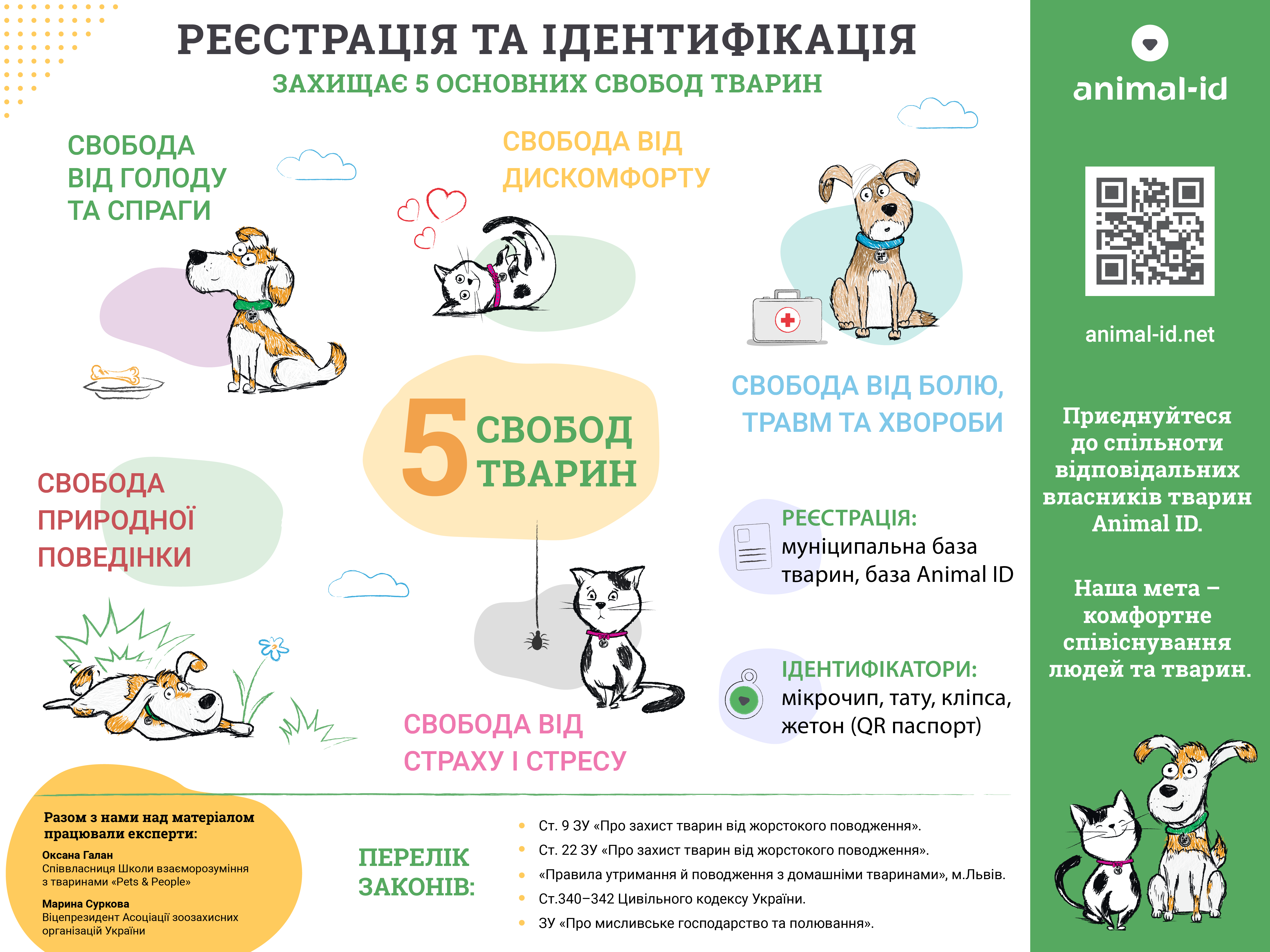 Как открыть приют для собак - памятка, полезные советы | блог о домашних животных