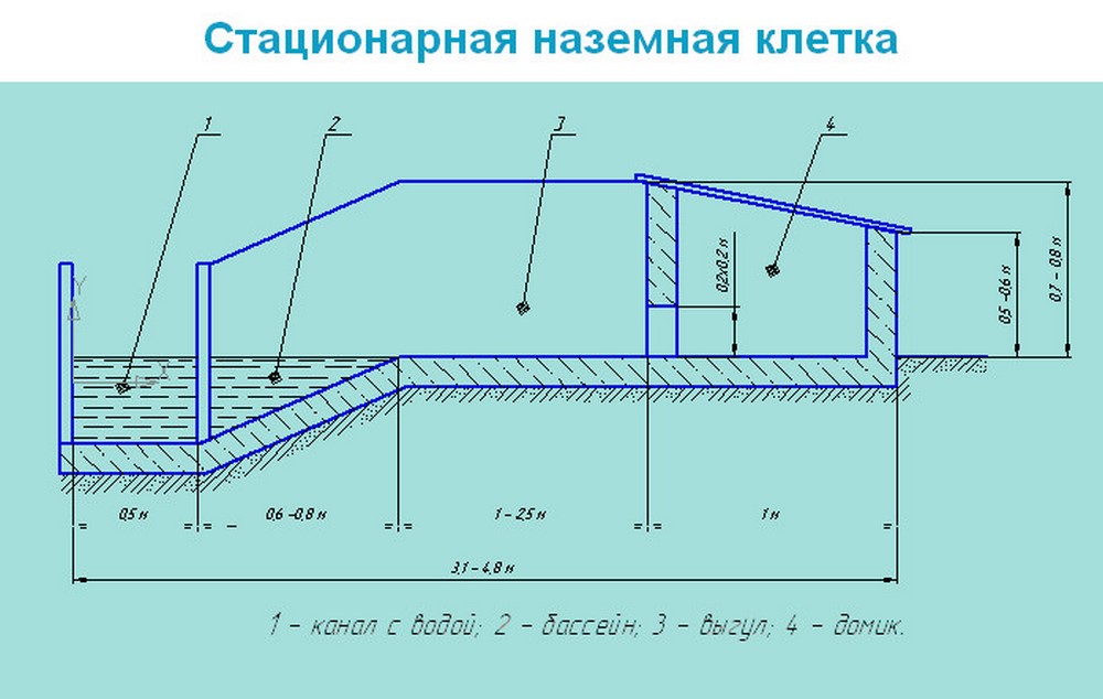 Разведение нутрий бизнес план