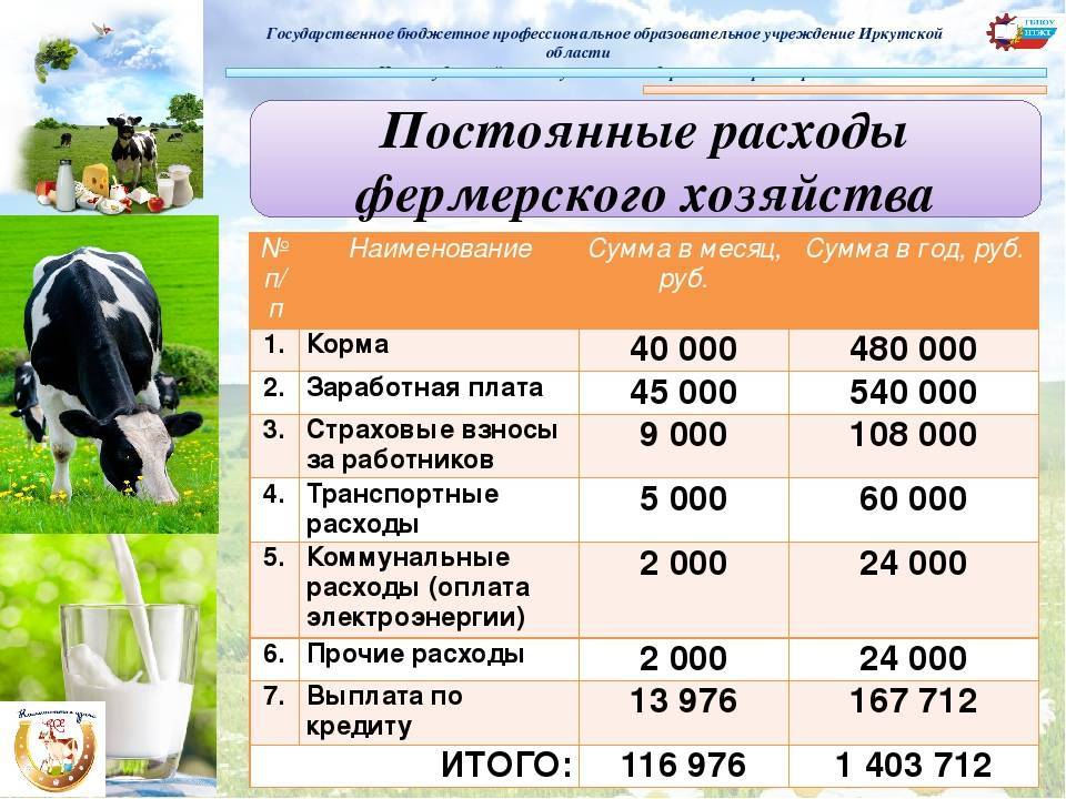 Тепличный бизнес в деревне — с чего начать и что выращивать
