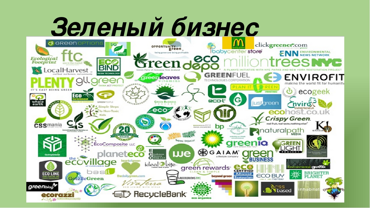 Как открыть магазин овощей и фруктов: план с расчетами