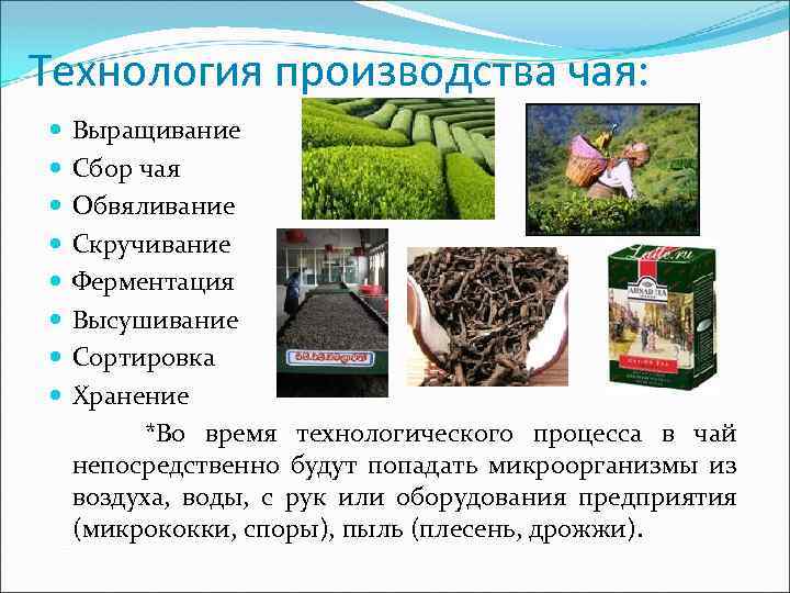 Схема производства чая черного