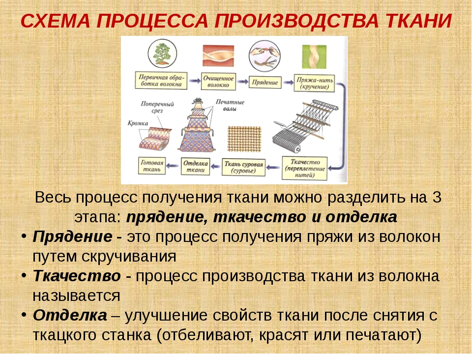 Как создать производство нижнего белья: 4 этапа организации бизнеса по пошиву женского белья - бизнес-журнал b-mag