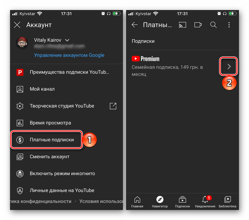 Главная причина, зачем нужна подписка на youtube premium — wylsacom