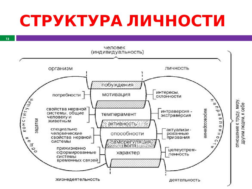 Структура личности в психологии презентация