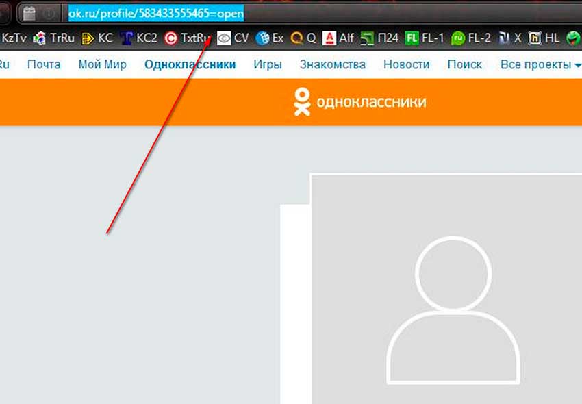 Как сделать закрытую страницу в одноклассниках. Закрытый профиль в Одноклассниках. Как выглядит закрытый профиль в Одноклассниках. Одноклассники фото закрытого профиля в Одноклассниках.