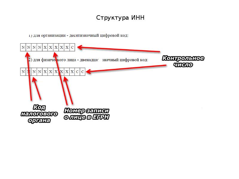 Как узнать свой инн по паспорту?
