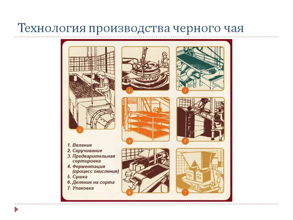 Как начать чайный бренд и запустить собственный чайный бизнес в интернете