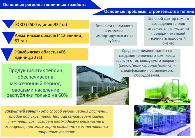 Бизнес план теплицы промышленные