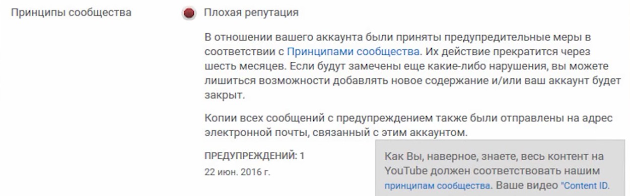 Подписка на каналы youtube – как первым смотреть видео