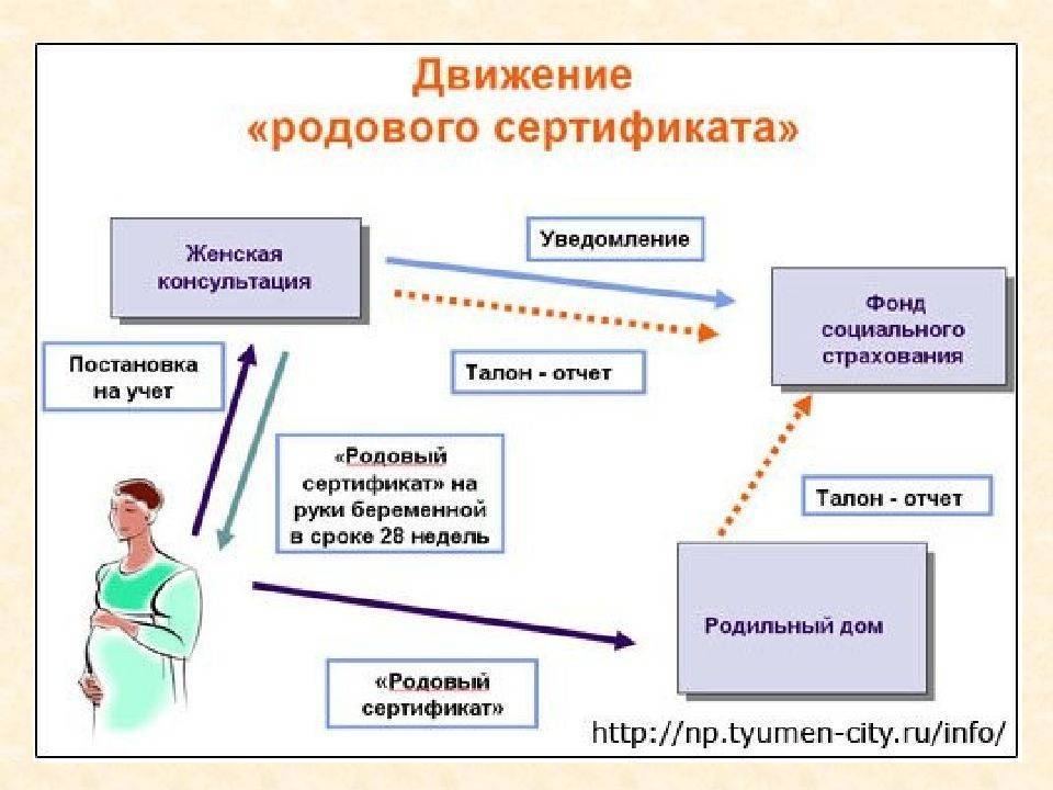 Куда нужно сдавать родовой сертификат после выписки в 2023 году