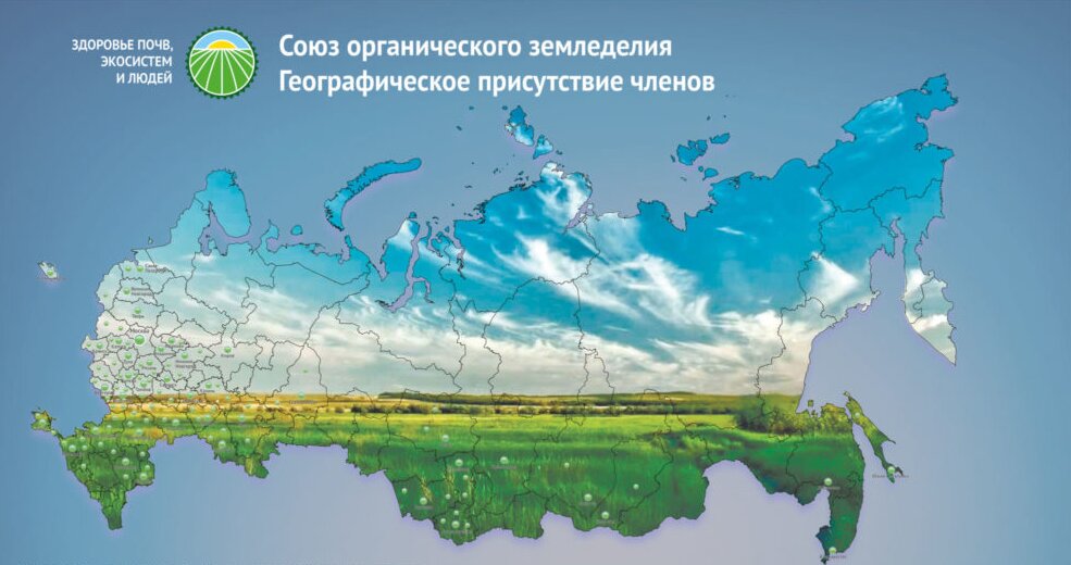 Франшиза сети магазинов у дома бристоль