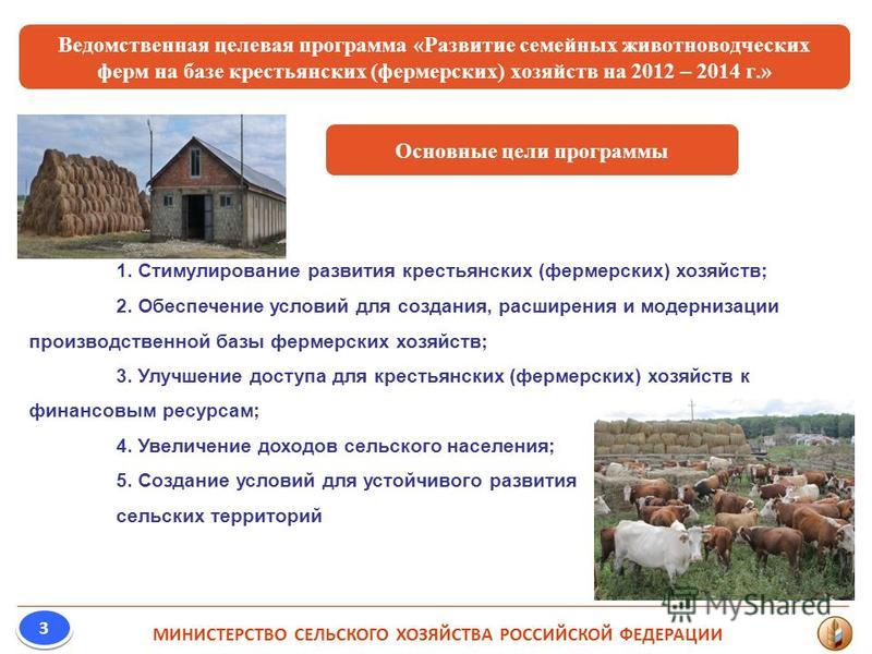 Проект фермерского хозяйства готовый пример