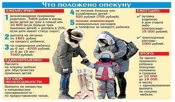 Сколько получает опекун: виды опекунства, обязанности и права опекуна и сумма материальной помощи